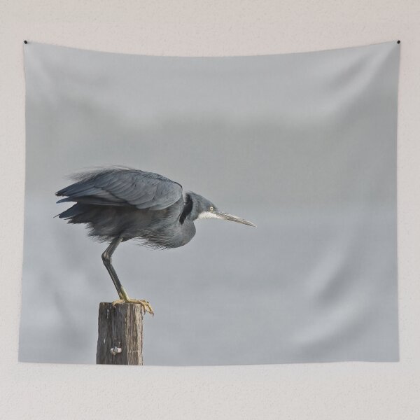 Item preview, Western Reef Heron about to fly designed and sold by Sue Robinson.