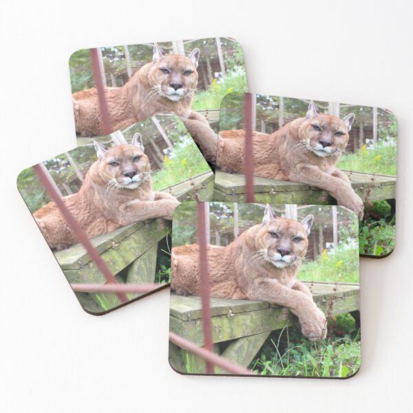Item preview, Mercury the Cougar designed and sold by AmurUncia.
