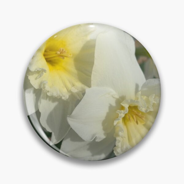 Item preview, Spring Daffodils in Bloom designed and sold by demardesigns.