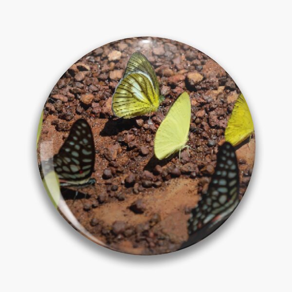 Item preview, Landed on the land designed and sold by Aremanda KIRAN.