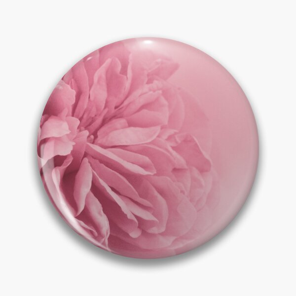 Item preview, Light Pink Rose #1 #floral #art  designed and sold by Anita's & Bella's Art.