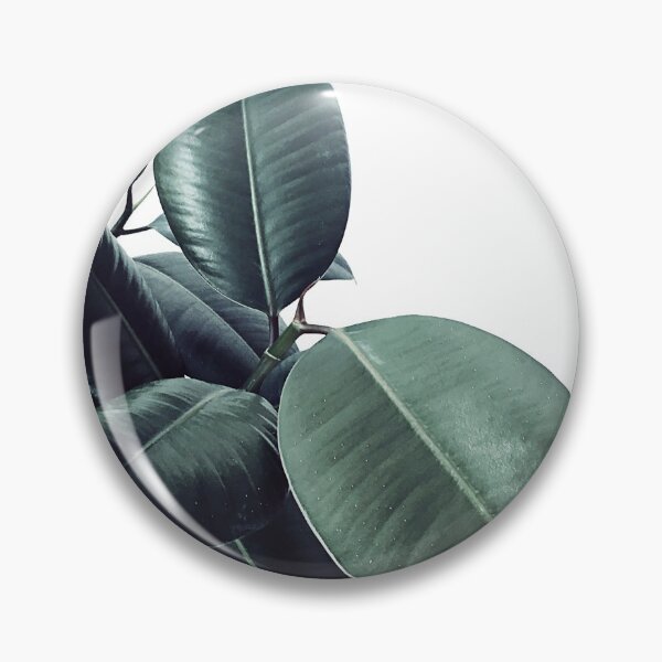 Item preview, Ficus Elastica #18 #White #foliage #decor #art designed and sold by Anita's & Bella's Art.