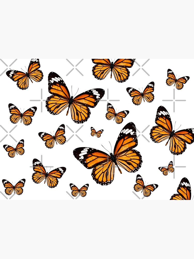 butterfly vsco pattern | Poster