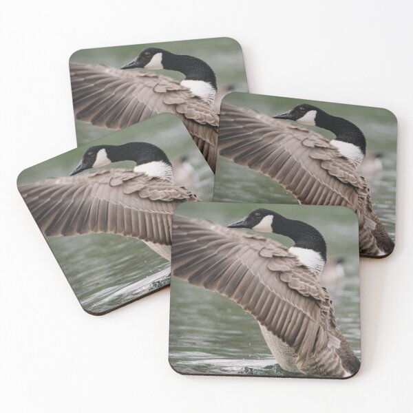Item preview, Big wings designed and sold by Aremanda KIRAN.