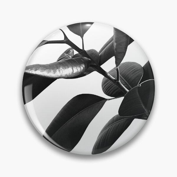 Item preview, Ficus Elastica Black & White Vibes #1 #foliage #decor #art designed and sold by Anita's & Bella's Art.