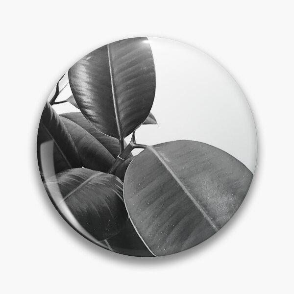 Item preview, Ficus Elastica #21 #BlackAndWhite #foliage #decor #art designed and sold by Anita's & Bella's Art.