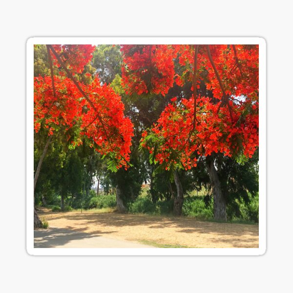 Item preview, Red and green colors at the park by Iritof designed and sold by iritof.