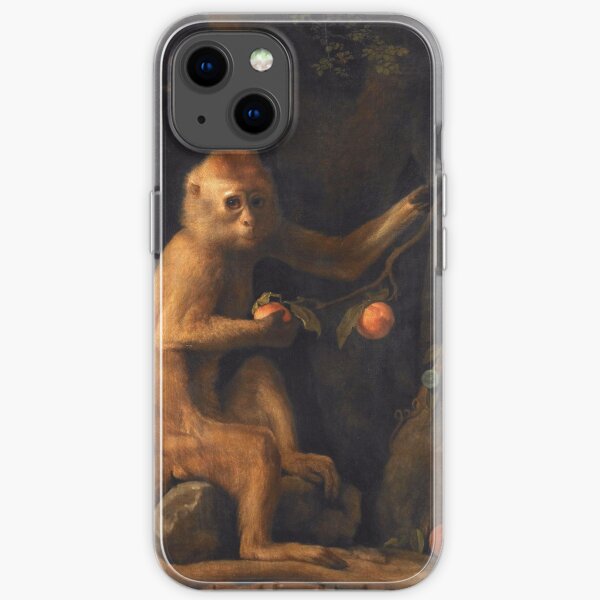 George Stubbs - A Monkey 1799 iPhone Soft Case