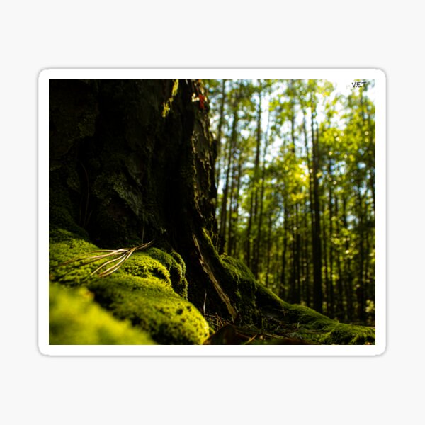 Item preview, Forest Floor Blanket  designed and sold by ValueEveryThing.
