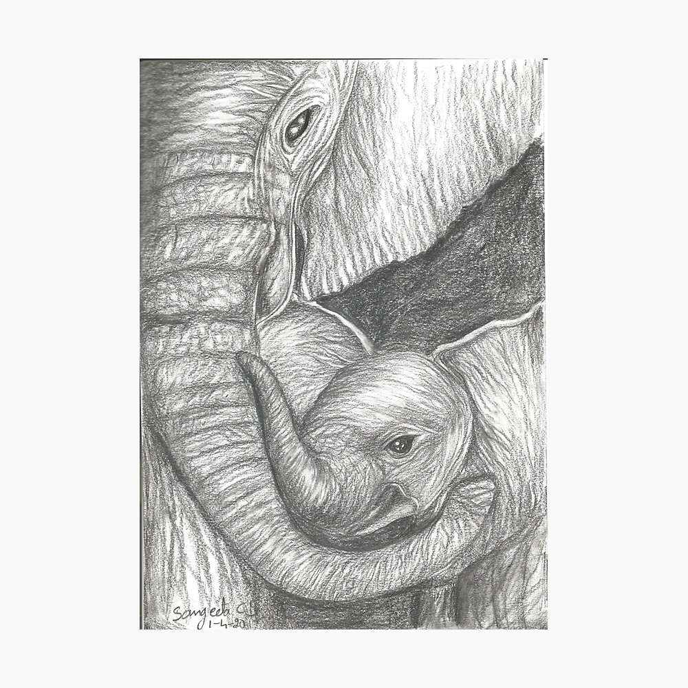 Poster Elefante Madres Aman El Dia De La Madre Amor Animal Especial Monocromo Blanco Y Negro Dibujo Boceto A Lapiz De Sangeetacs Redbubble