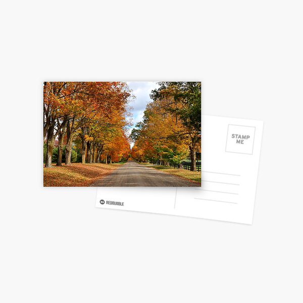 Country Sideroad Postcard
