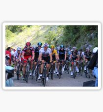 Peloton 2012 Sticker