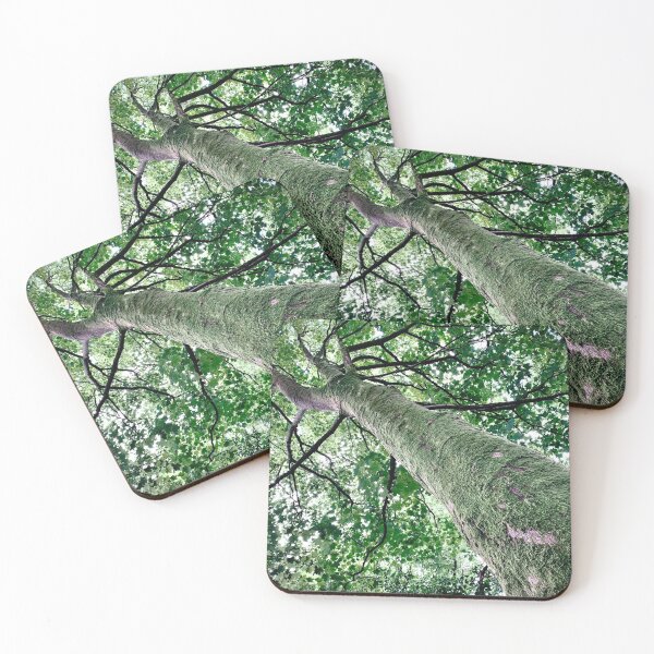 Item preview, Forest Photography Moss/Algae/Lichens designed and sold by IBMClothing.