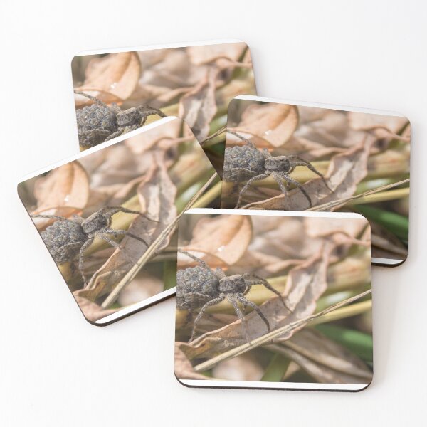 Item preview, Spider with Hitchhikers designed and sold by LaurenTucker.