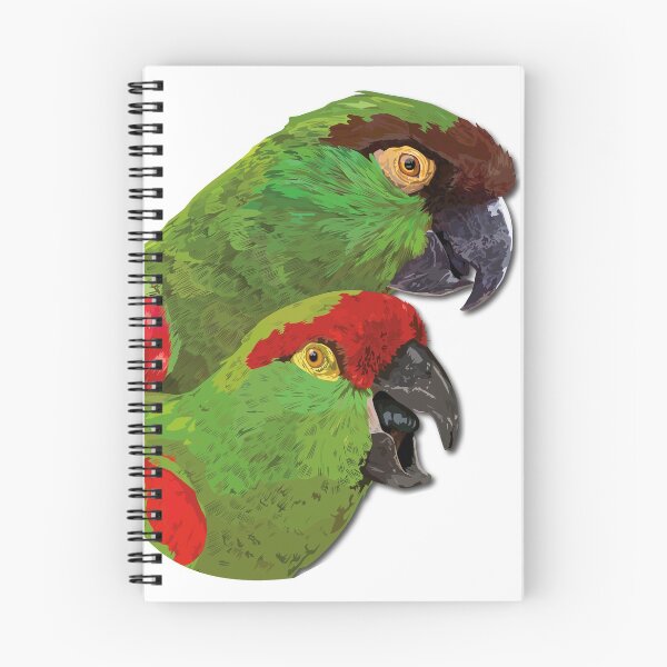 Item preview, Thick-billed or Maroon-fronted Parrot designed and sold by obscurite.