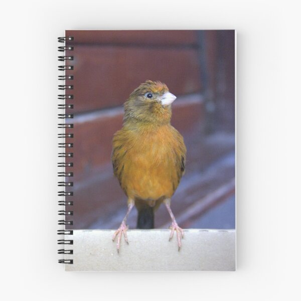 Item preview, Canary 2 designed and sold by Monika's Art.