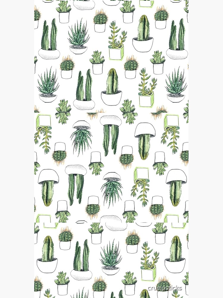 Watercolour cacti & succulents by crumpsticks