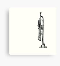 So What... Canvas Print