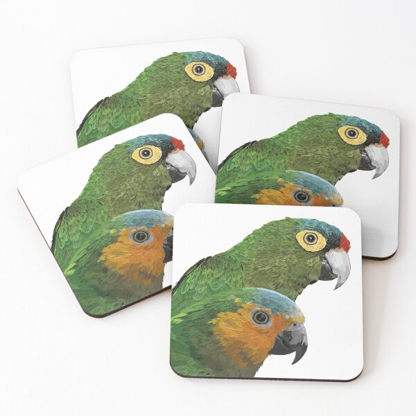 Item preview,  orange-fronted parakeet and dirty-breasted parakeet designed and sold by obscurite.