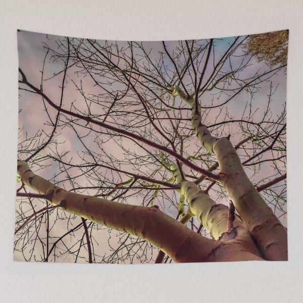Aperçu de l'œuvre En attendant le printemps créée et vendue par Olympia Ellinas.