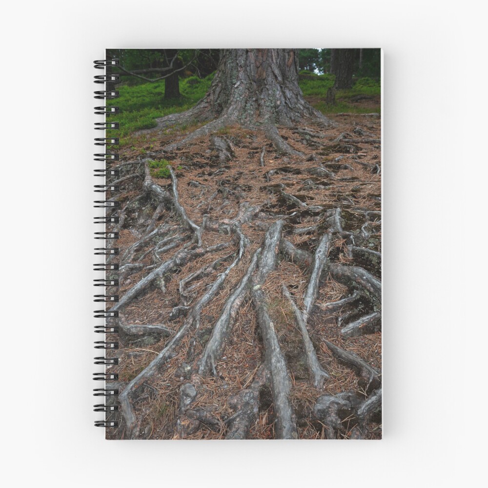 Item preview, Spiral Notebook designed and sold by codaimages.