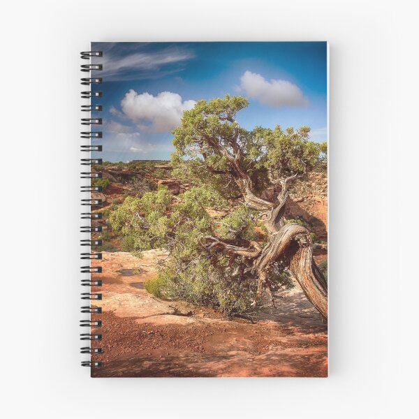 Item preview, Pinyon Pine - Canyonlands National Park designed and sold by Kathy Weaver.