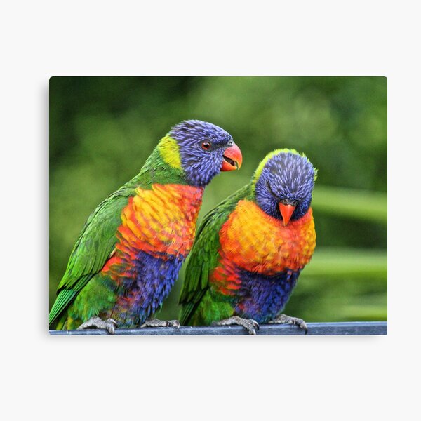 Wanna know a secret? Canvas Print