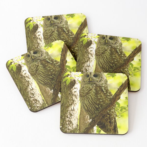 Item preview, Goddess of greenery  designed and sold by locustgirl.