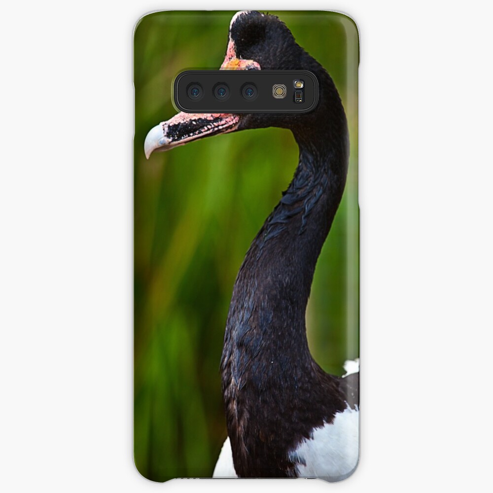 Magpie Goose Case & Skin for Samsung Galaxy