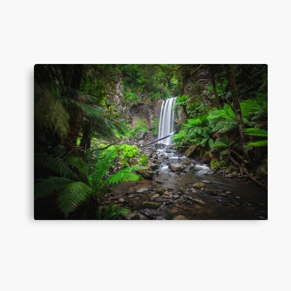 Item preview, Lushness of the Rain Forest designed and sold by Jill Fisher.