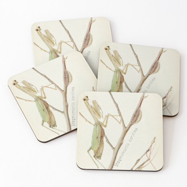 Item preview, Praying Mantis and Stick Insect designed and sold by BlueSpecsStudio.