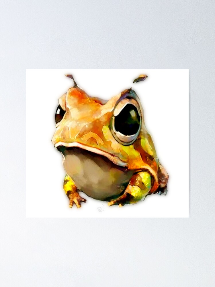 Baby Frog Illustration poster