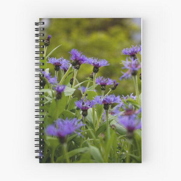 Item preview, centaurea designed and sold by codaimages.