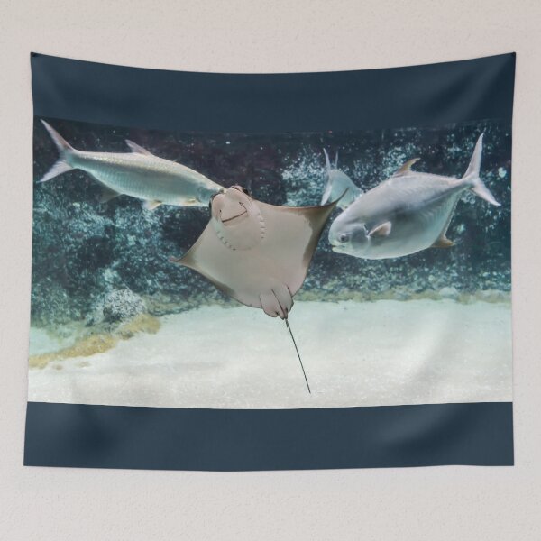 Item preview, Cownose ray swimming among fishes designed and sold by lena-maximova.