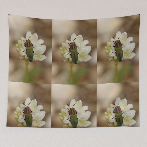 Item preview, CREATIVITYLOVE CLASSIC NATURE PATTERNS designed and sold by VividThreadsDesignStudio.