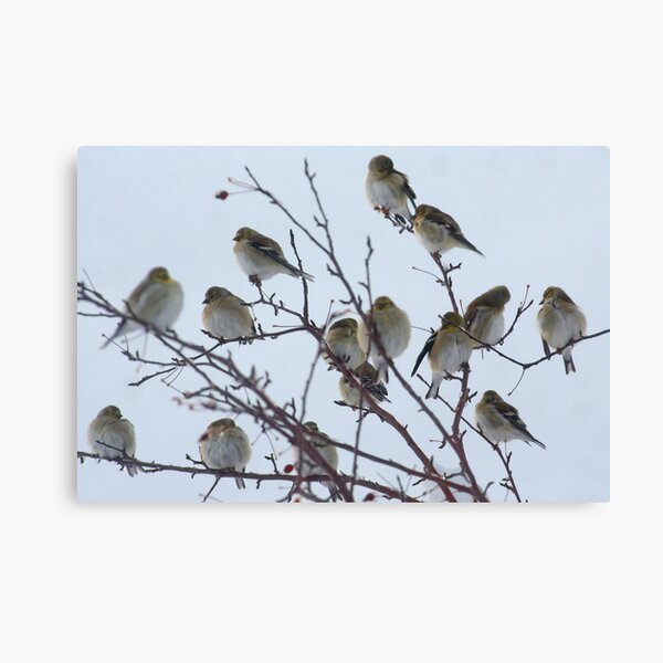 Solstice Bouquet Canvas Print