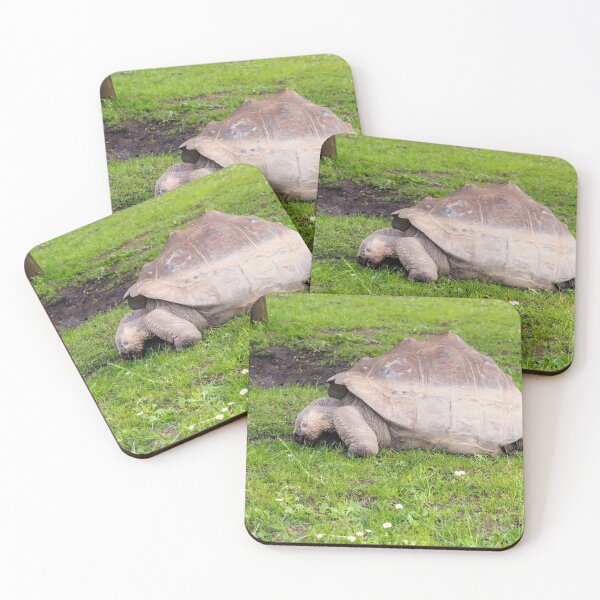 Item preview, Giant tortoise eating grass designed and sold by lena-maximova.