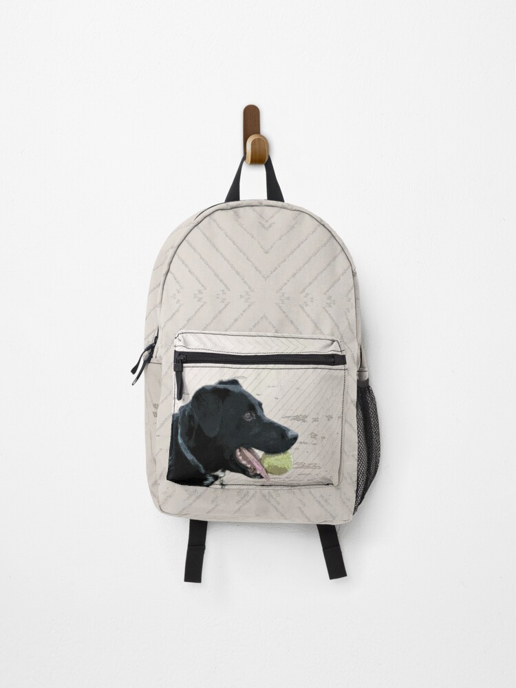 tennis ball backpack