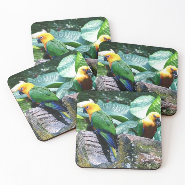 Item preview, Parrots designed and sold by loublooms.