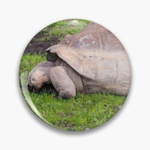 Item preview, Giant tortoise eating grass designed and sold by lena-maximova.