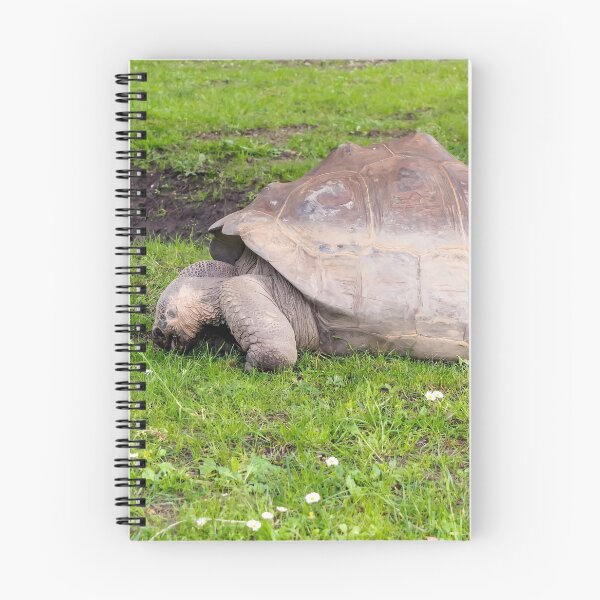 Item preview, Giant tortoise eating grass designed and sold by lena-maximova.