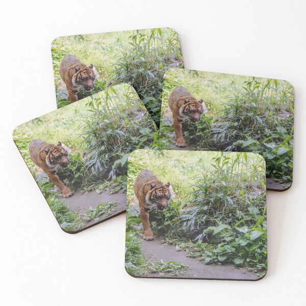 Item preview, Tiger walking down the path designed and sold by lena-maximova.