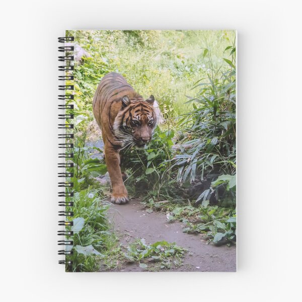 Item preview, Tiger walking down the path designed and sold by lena-maximova.