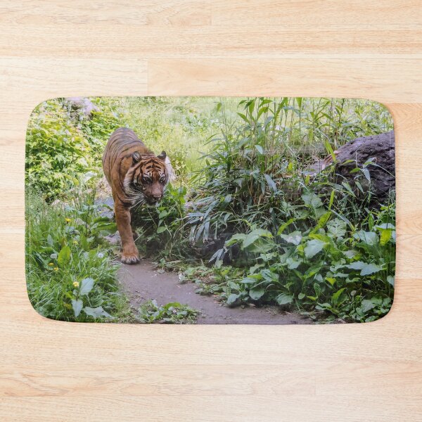 Item preview, Tiger walking down the path designed and sold by lena-maximova.
