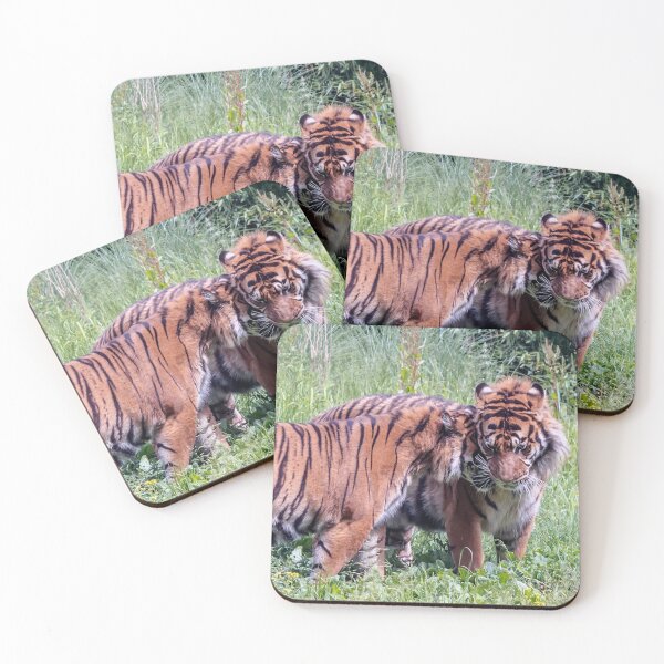 Item preview, Tigresssnuggling up to male tiger designed and sold by lena-maximova.