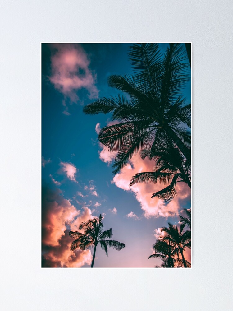 Palm Trees Aesthetic Iphone Case Poster By Lolora Redbubble