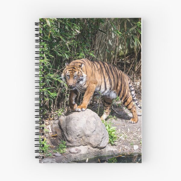 Item preview, Tiger standing by the pond designed and sold by lena-maximova.