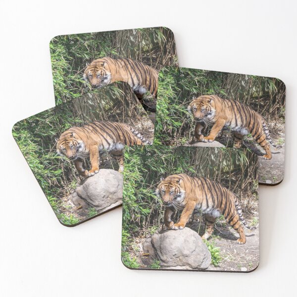 Item preview, Tiger standing by the pond designed and sold by lena-maximova.