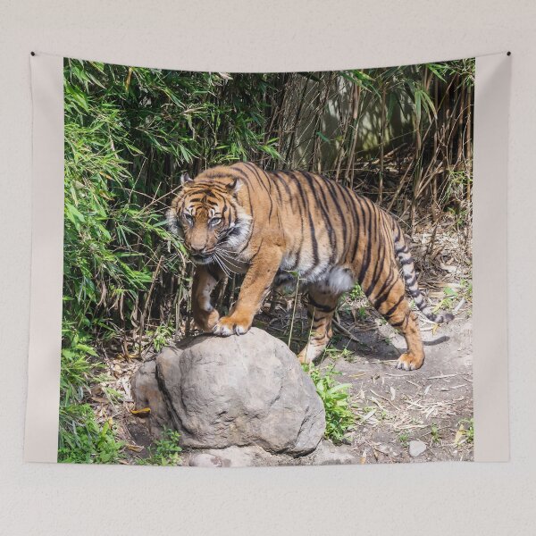 Item preview, Tiger standing by the pond designed and sold by lena-maximova.