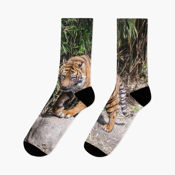 Item preview, Tiger standing by the pond designed and sold by lena-maximova.